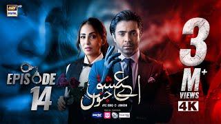 Aye Ishq e Junoon Episode 14 | Ushna Shah | Sheheryar Munawar | 24 Dec 2024 | ARY Digital