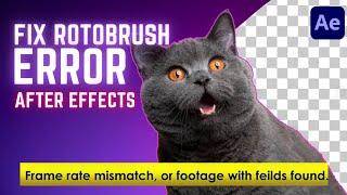 How to Fix Rotobrush Error in After Effects (Frame rate mismatch) - Blinking video error roto brush