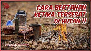 Survival: Cara Bertahan Hidup Ketika Kamu Tersesat di Hutan