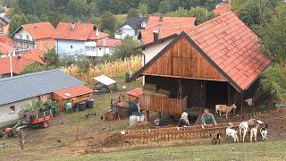 „Posla ima u Bosni za one koji žele raditi“