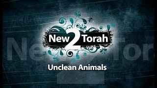 Unclean Animals