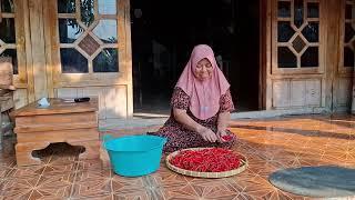 kegiatan pagi emak lanjut masak nasgor dadakan