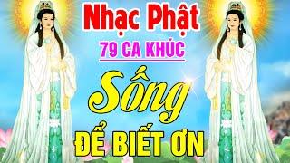 Nhạc Phật - Liên Khúc Nhạc Phật Giáo 2024 #SỐNG ĐỂ BIẾT ƠN #50 CA KHÚC NHẠC PHẬT GIÁO HAY NHẤT 2024