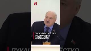 Лукашенко: Мало не покажется! #shorts #лукашенко #политика #новости #беларусь #коррупция