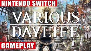 Various Daylife Nintendo Switch Gameplay