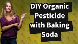How Can I Make a Simple Organic Pesticide Using Baking Soda?
