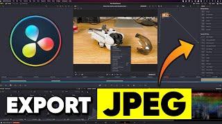 Davinci Resolve how to export a jpeg from the timeline - quick guide