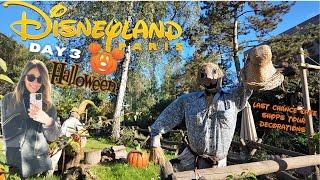 disneyland paris vlog: halloween decorations, full shops tour, last chance café, Skyline bar