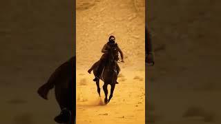 In this video you can see an Arabian girl riding a horse with joy in the United Arab Emirates.