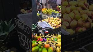 WHAT TO BUY? SO MUCH CHOICE!!! Mercado la Vega in Santiago de Chile 