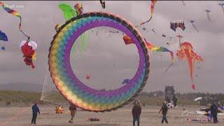 The annual Washington State International Kite Festival in Long Beach is fun for all ages - KING 5 E