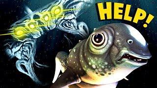 Subnautica - THIS IS TOO MUCH TO HANDLE!! Cuddle Fish Update - Subnautica Gameplay