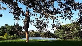 Yoga under the fig tree