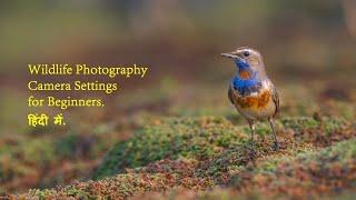 Wildlife Photography with Entry-Level DSLR | Best Wildlife Photography Camera Settings for Beginners