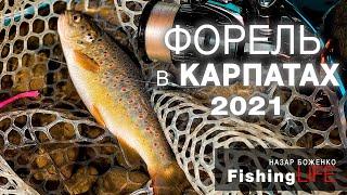 НАЙОЧІКУВАНІША РИБАЛКА 2021 зі спінінгом в КАРПАТИ НА ФОРЕЛЬ