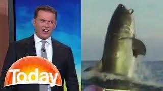 Aussie TV host's hilarious reaction to shark footage