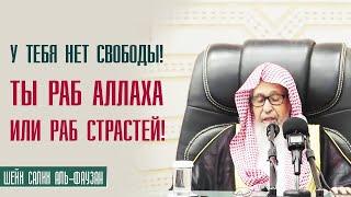 Шейх Салих аль Фаузан. Нет у тебя никакой свободы! Либо ты раб Аллаха, либо ты раб страстей!