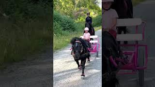 Quality time with my daughter️ #shortsvideo #motherdaughter #horses #pony #horse