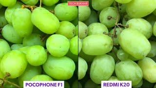 Redmi K20 Vs Xiaomi Poco F1 Camera Comparison || #PocoF1, #RedmiK20, #k20, #TECHBUKHAR, F1 vs K20