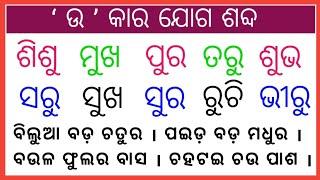 ‘ ଉ ’ କାର ଯୋଗ ଶବ୍ଦ | U Kara Sabda | Odia Barnabodha | PLR Study Life