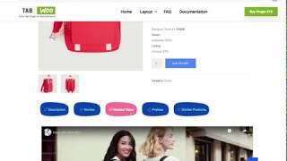 Premium WordPress Plugin TabWoo - How to add extra tabs in WooCommerce Product page | WP Tutorial