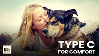 How Type C for Comfort Treats Dog Cancer | Molly Jacobson Deep Dive