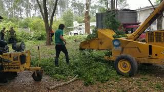 The best 1974 wayne wood chipper video yet