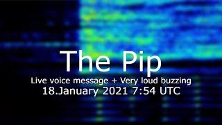 The Pip live voice message + very loud buzzing 18.January 2021 7:53 UTC