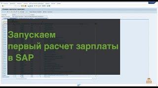 SAP для начинающих. Запускаем расчет заработной платы и исправляем ошибки