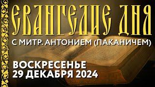 Толкование Евангелия с митр. Антонием (Паканичем). Воскресенье, 29 декабря 2024 года.