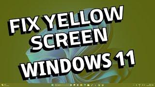 How to Fix Yellow Screen issues in Windows 11