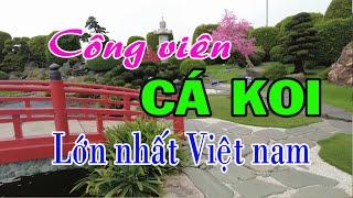 CÔNG VIÊN CÁ KOI LỚN NHẤT VIỆT NAM | Nguyễn Thành Nhơn Vlog