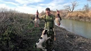 Жаркая Охота на Утку в Краснодарском крае!Выстрелил все патроны!#охота #охотанауток #утка #спаниель