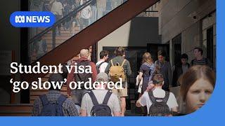 Government orders student visa 'go slow" to suppress numbers | ABC News