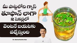 Instant Relief from  Gas Trouble | Ulcer | Motion Problem | Dr. Ramachandra | Hi Tv Health