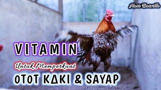 VITAMIN PENGUAT 0T0T K∆KI DAN SAYAP