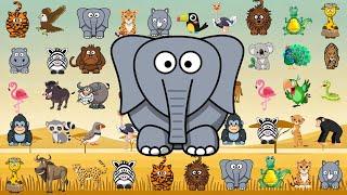 Safari Animal Sounds Song & ABC Animal Songs | Little Bunny Learns | Nursery Rhymes