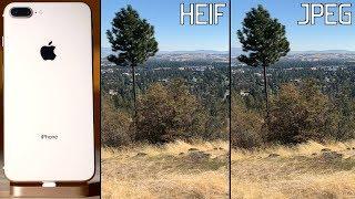 Does HEIF in iOS 11 kill iPhone photo quality? HEIF vs JPEG Compared