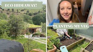 Eco Hideaway trip, planting my summer vegetables!