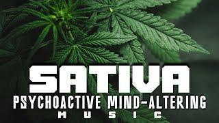 Sativa Psychoactive Mind-Altering Music Background