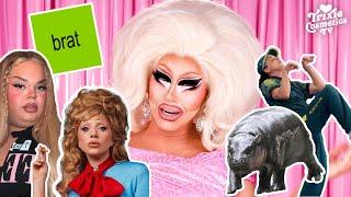 Trixie's Back! Let's Catch Her Up On the Internet