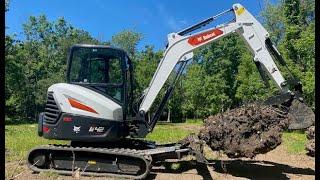 Biggest Stump Dig Yet Bobcat Mini Excavator E42 R2 2k #206