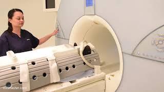 Magnetic resonance angiography legs (MRA lower limbs) positioning, protocols and planning