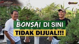 LUAR BIASA!!! Koleksi Bonsai Santigi Bokop Art |Feat. Grand Master Rudi Julianto |