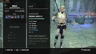 ESO] Necromancer Healer Build For Dungeons.