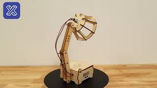 Build Fan and Lamp, Two Science Projects, Learn Electrical Circuits, Great Gifts for Tinkerers