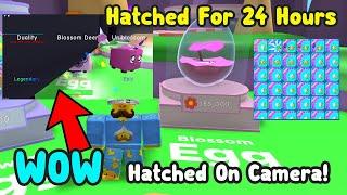 WOW I Hatched 2 Secret Pets On Camera! Hatched Blossom Egg For 24 Hours - Bubble Gum Simulator