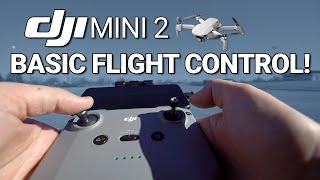 DJI Mini 2 / Basic Flight Control (Tutorial)