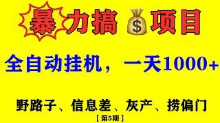 2024年，哪些灰产偏门信息差项目，怎么一天挣1000+