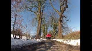 Astrein-Baumpflege -  Baumpflegearbeiten an einer Katanienallee in Groß Buchwald / Bordesholm